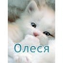 №2, Олеся Королева, Санкт-Петербург №2, Олеся Королева, Санкт-Петербург