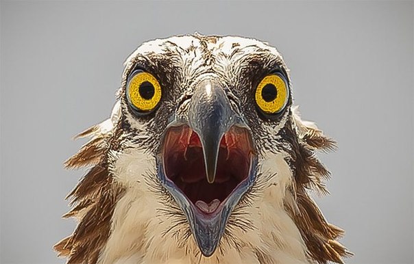 №108, Natasha Malkova, 35 лет, Екатеринбург, Россия №108, Natasha Malkova, 35 лет, Екатеринбург, Россия