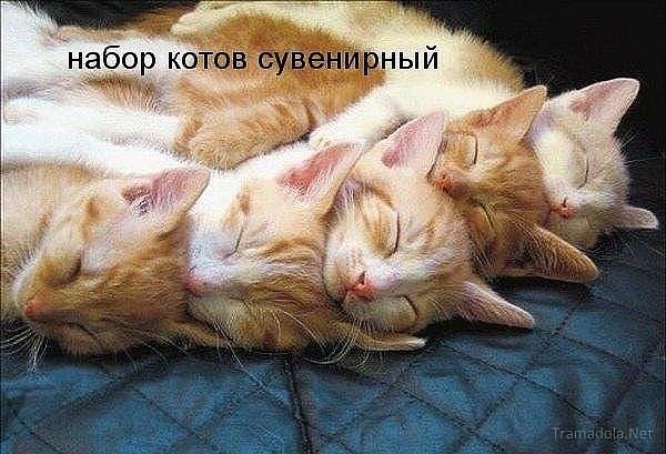 Татьяна Коваленко | Запорожье
