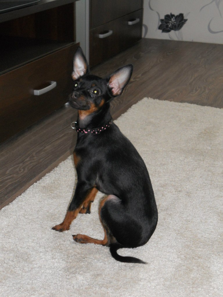 Margo Tixonova | Псков