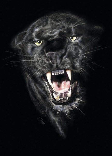 Teftel Residentevil KATLETKO | Киев