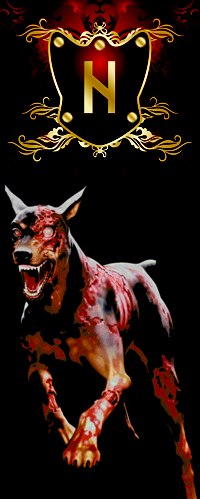 Алекс Никифоров | Великий Новгород