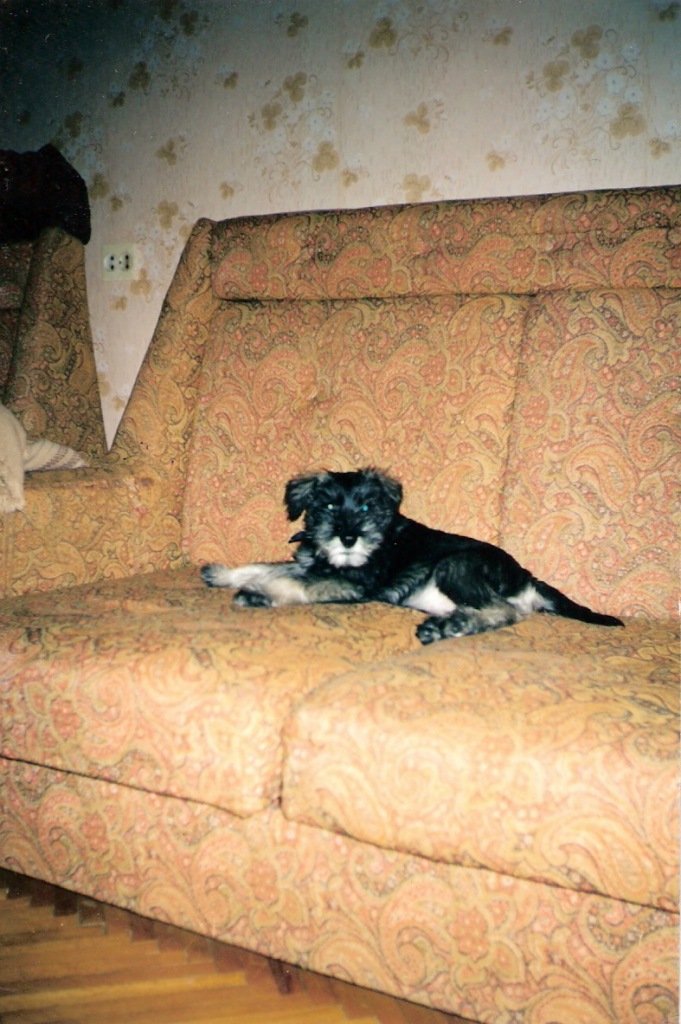 Фото профиля