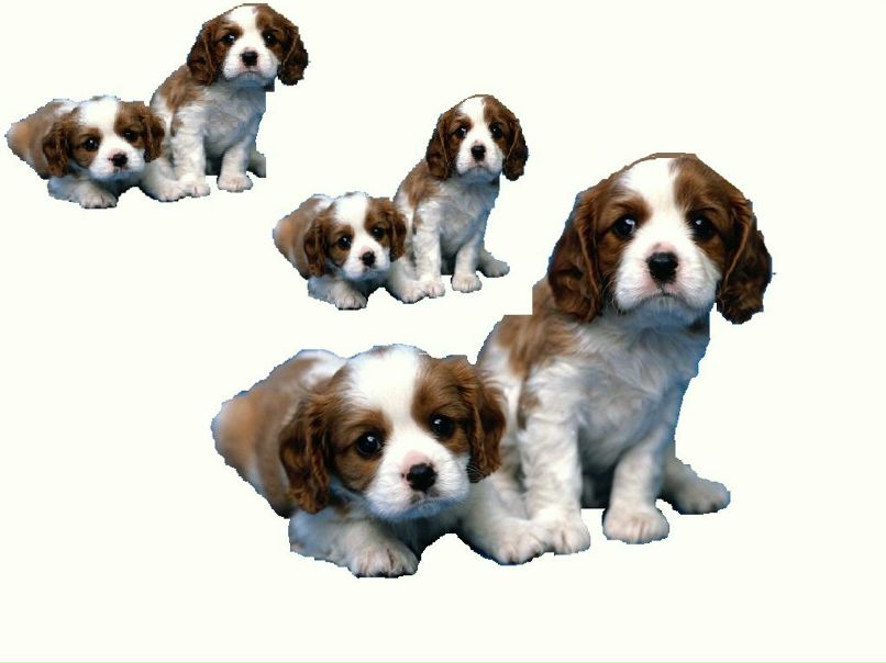 Эля Николаева | Ижевск