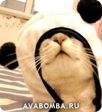 Наточка Копытова =^_^= | Белорецк