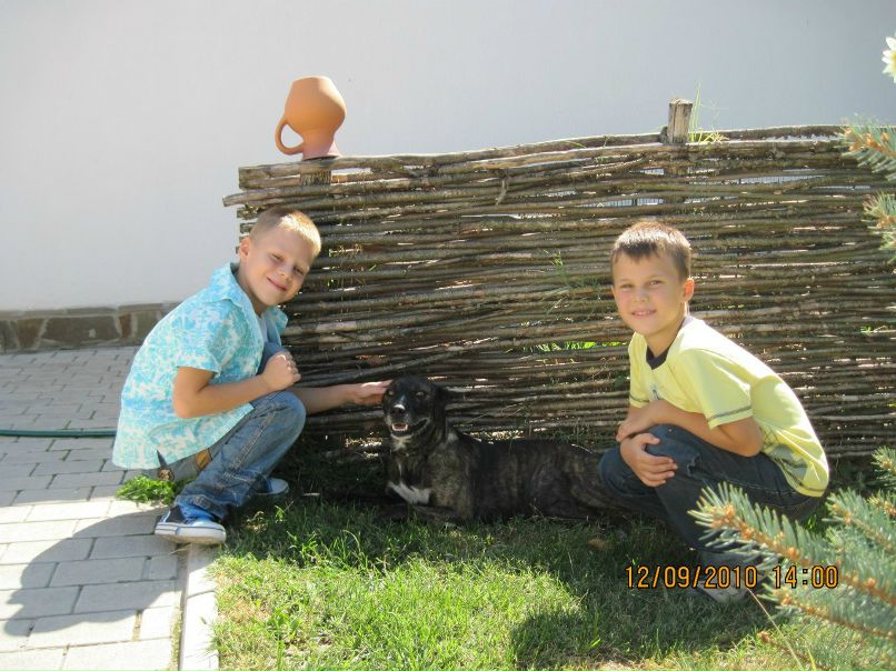 Алексей Качалов | Севастополь