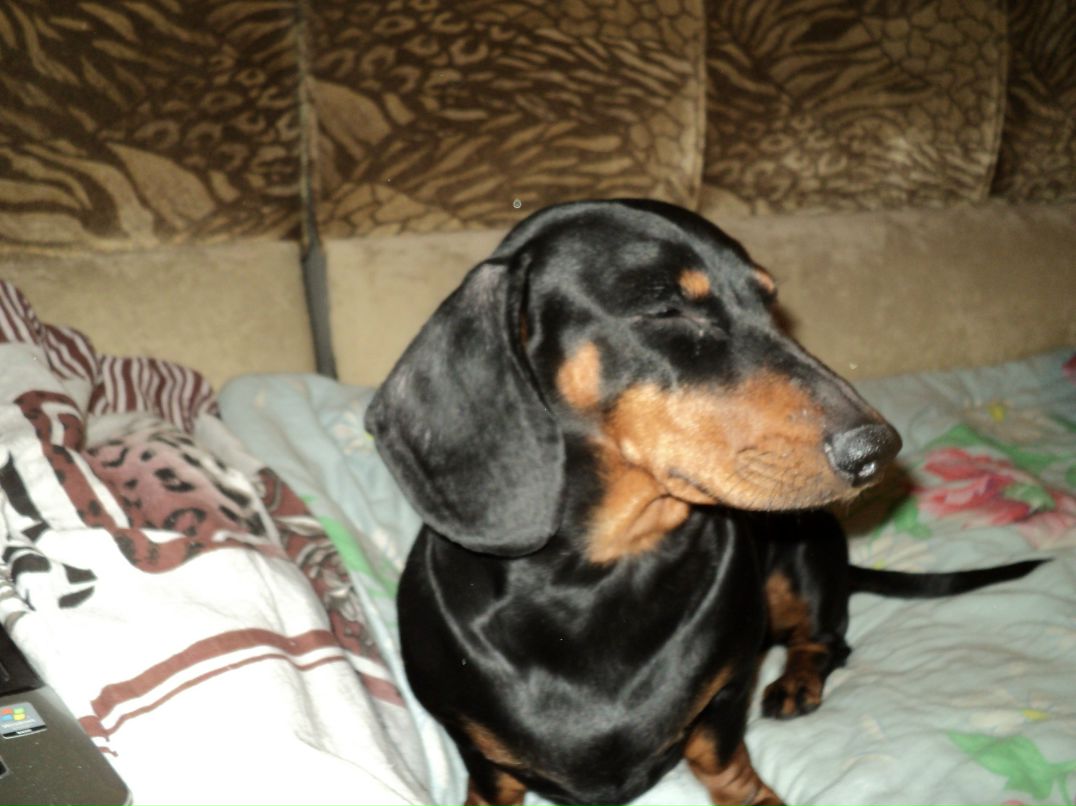 Светлана Ганина | Нижний Новгород