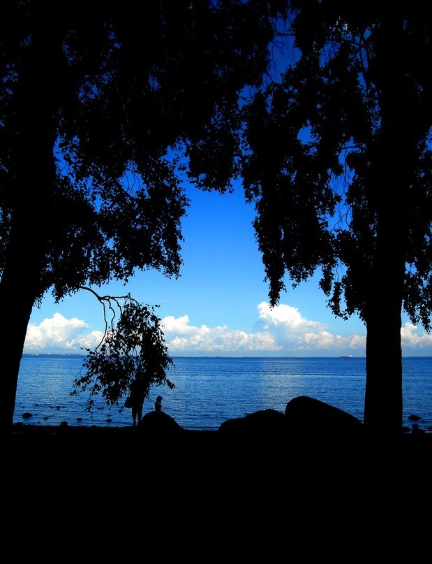 Вероника Яблукова | 