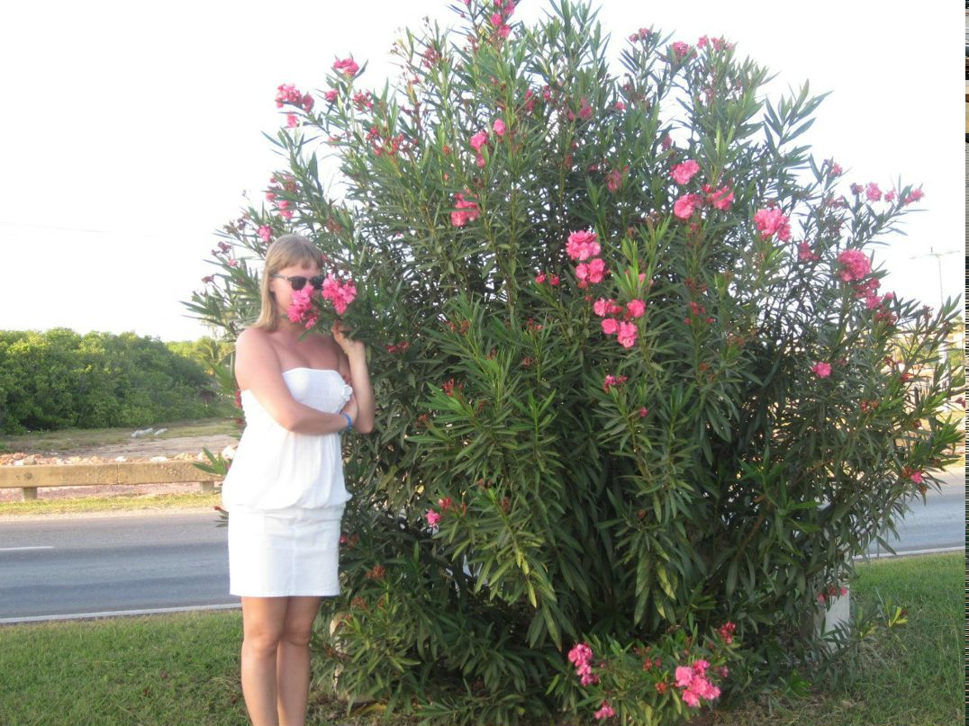 Лена Выдумчик //КРИВИ// | Калининград