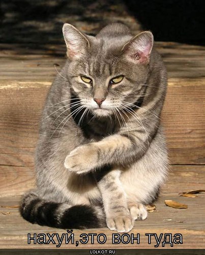 Женя Авдеенко | Иркутск