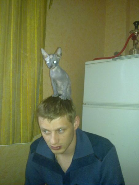 №18, Сергей Чернов №18, Сергей Чернов