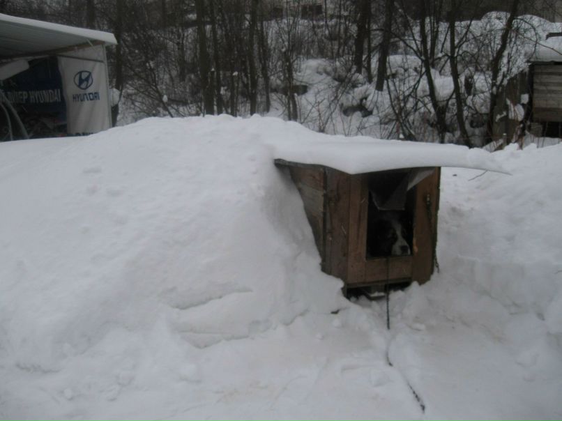 Сергей Соколов 