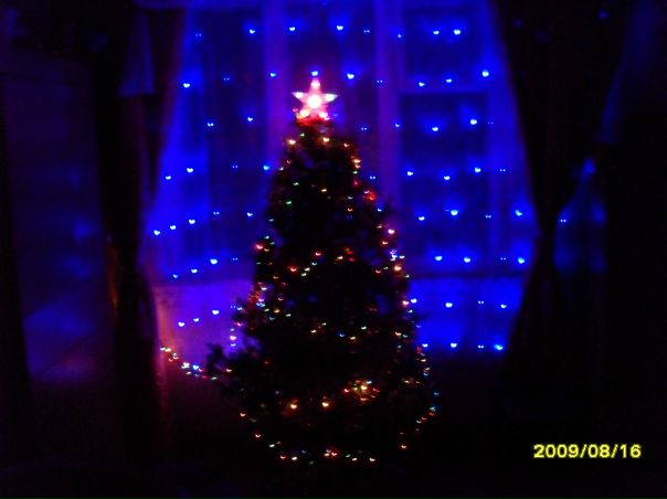 №6, Олюшка Капустина №6, Олюшка Капустина