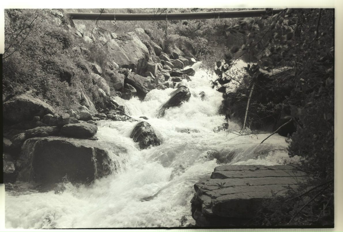 Роман Гейгерт | 