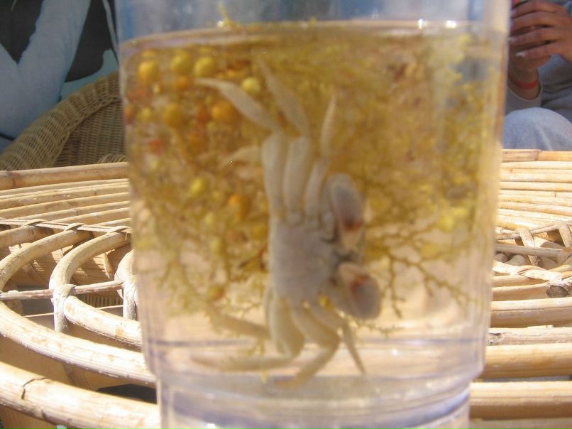 Роман Скобеев | Гатчина