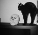 Саша Сухов фотография #35