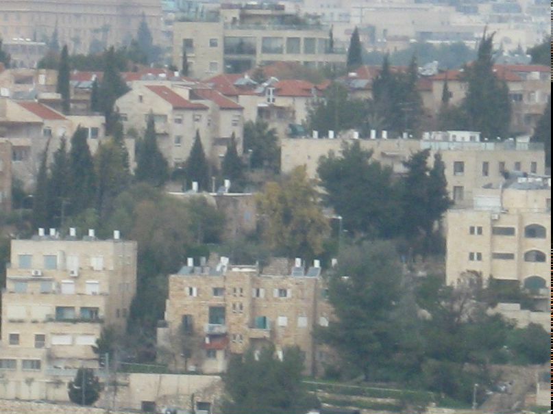 Татьяна Шанина | Санкт-Петербург