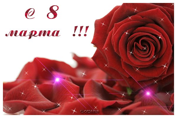 Александр Дроздов | Волхов (поселок)