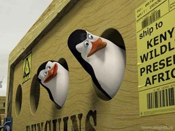 Комунадо Томунадо | 