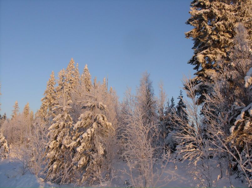 Надежда Клишова | Северодвинск