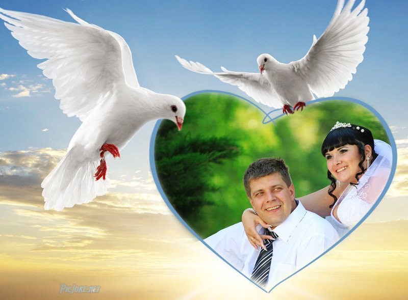 Лилия Енина | Запорожье