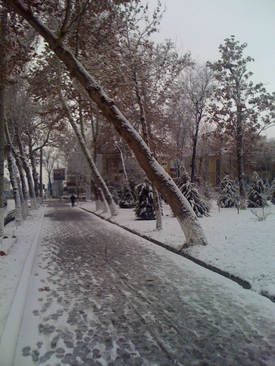 Sergey Ibragimov | Ташкент