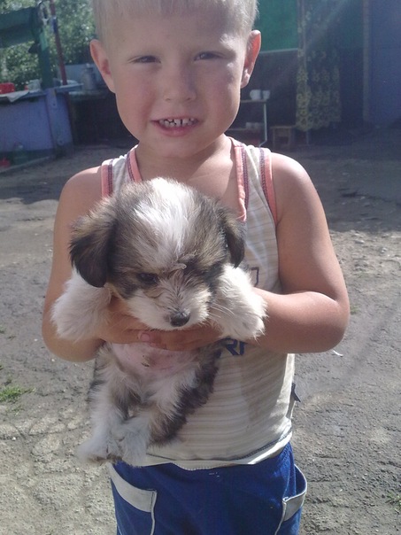 №13, Сергей Симоненко №13, Сергей Симоненко