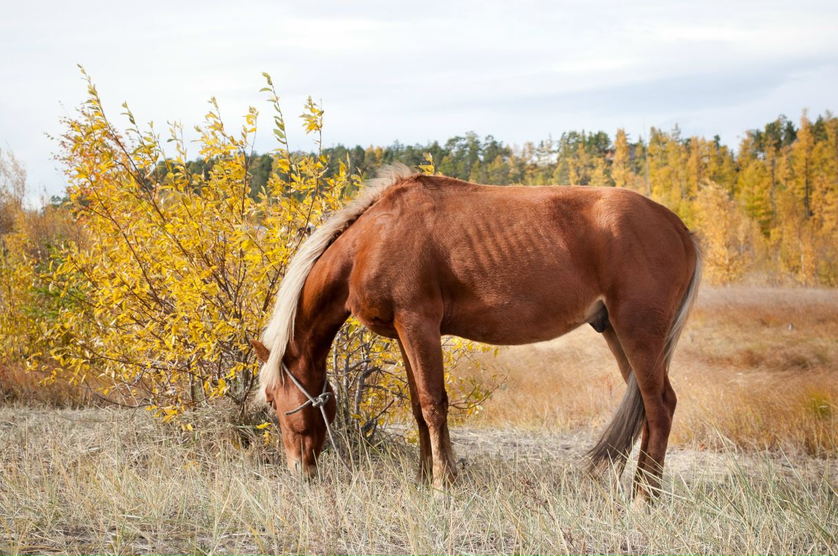 Сергей Устинов | Санкт-Петербург