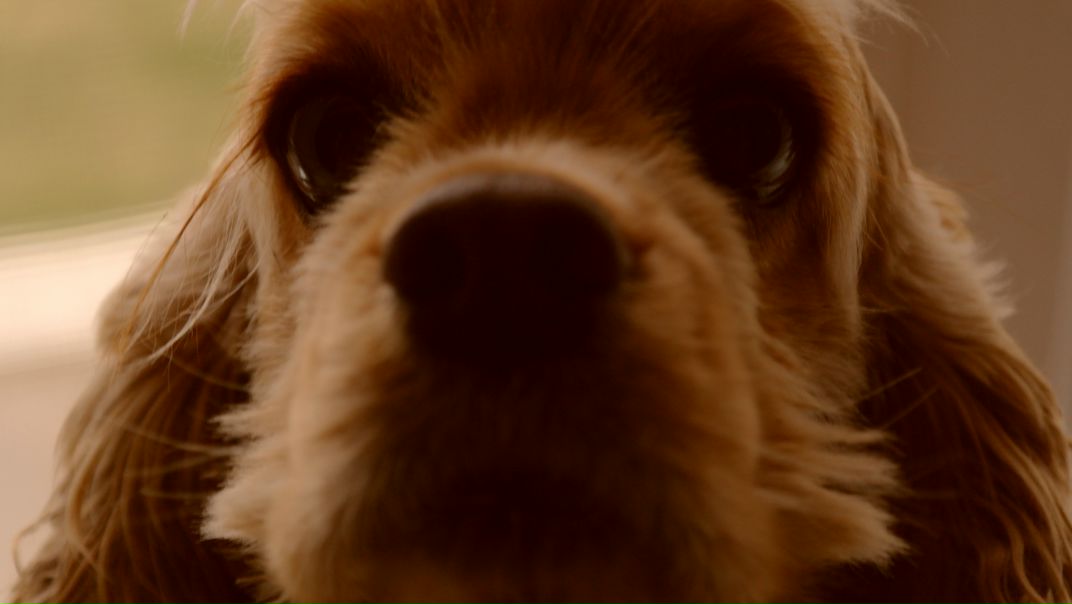 №2, Санечка Садовникова №2, Санечка Садовникова