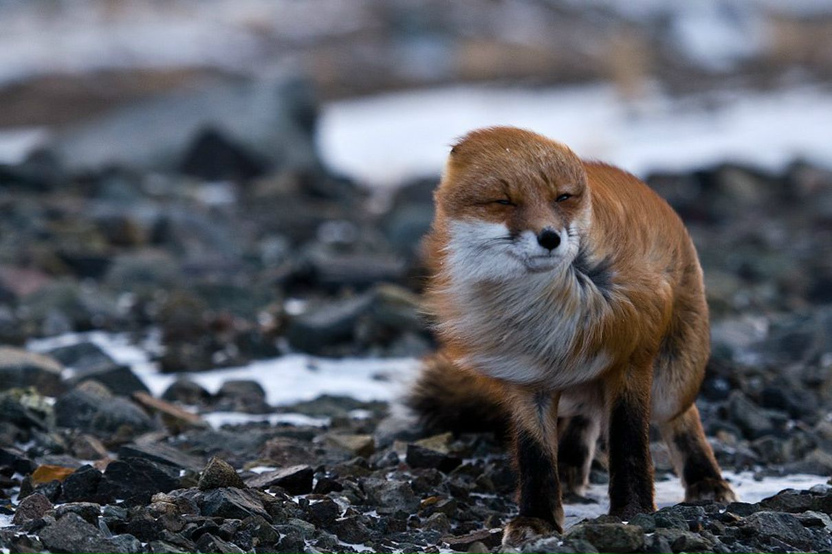 Виталий Субботин | Пермь