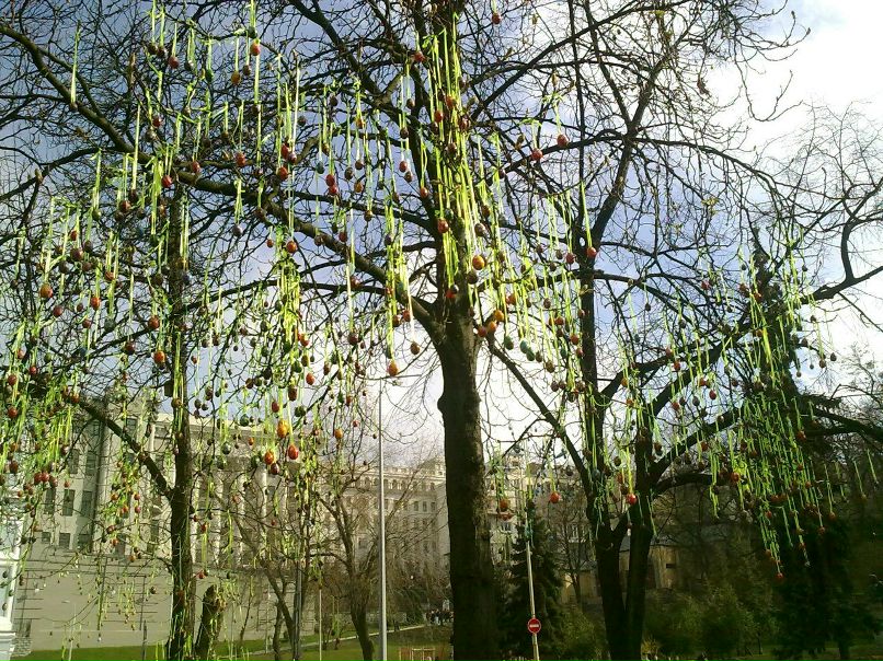 Юльчик Волощенко | Киев