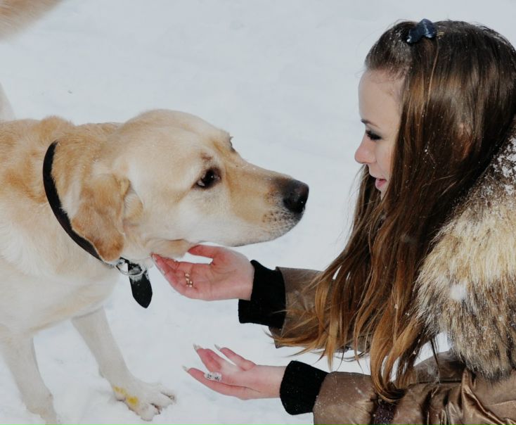 №98, Надежда Павлюк--Самойленко №98, Надежда Павлюк--Самойленко