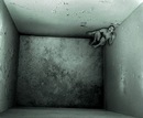 Фотография Емельянова Кирилла