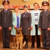 ¸.•*”˜*• Возвращение Мухтара-2. 7 сезон¸.•*”˜*•