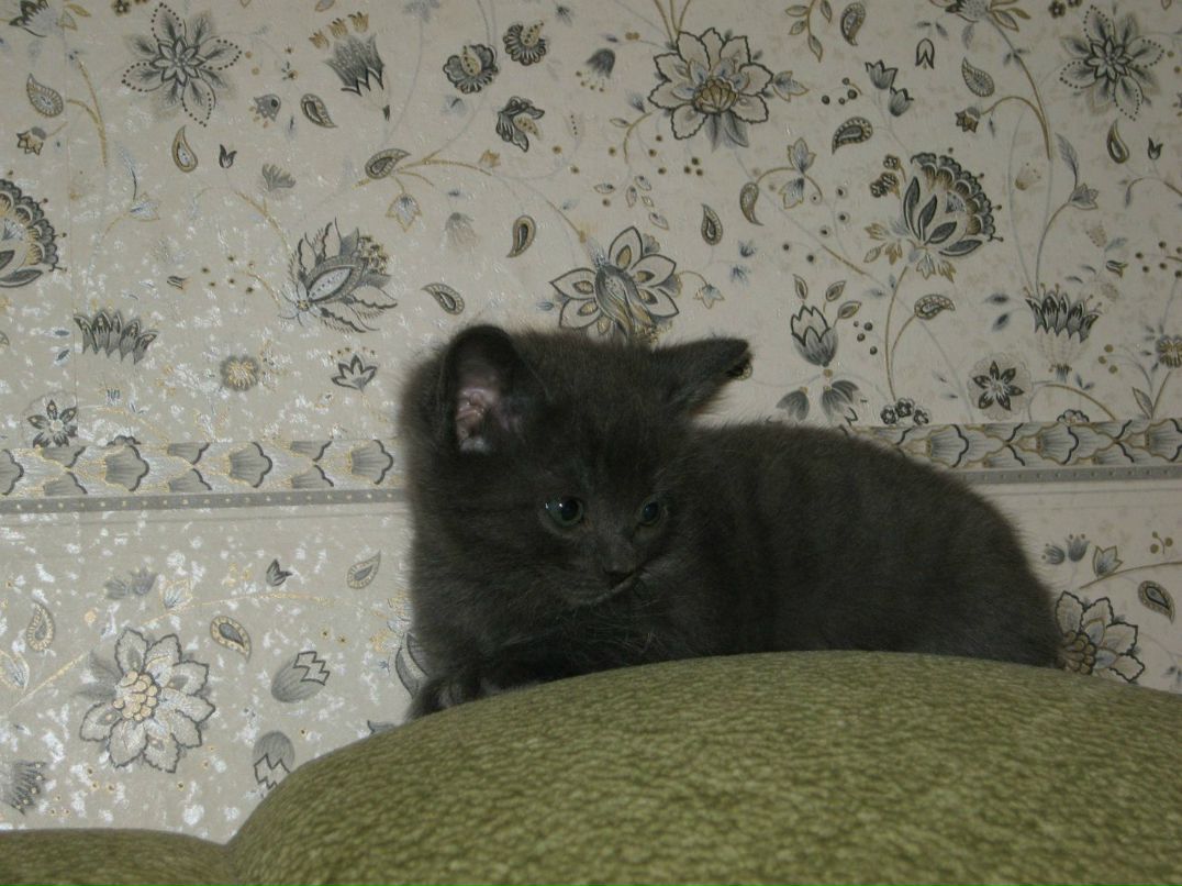 Екатерина Кузьмина | Санкт-Петербург