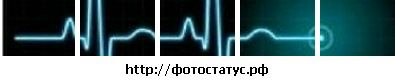 Фотография Дима Градов