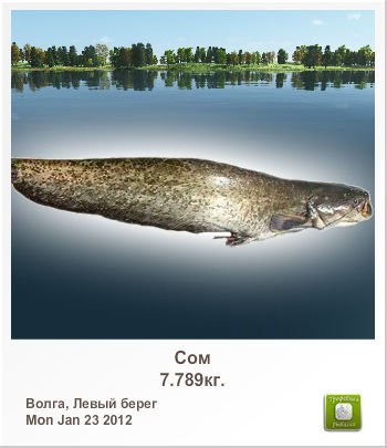 Владимир Софронов | Саранск