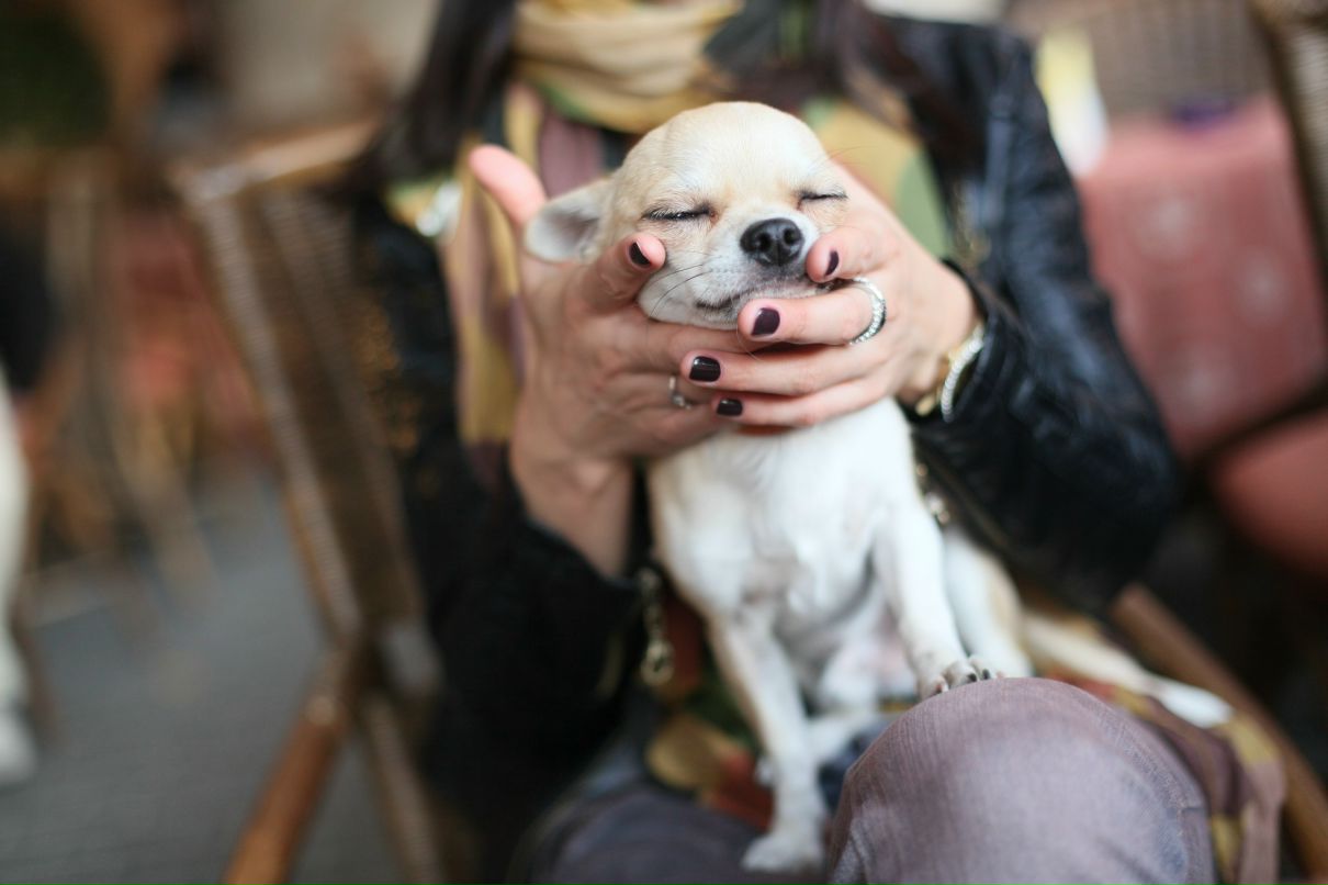 Христина Тюленева | 