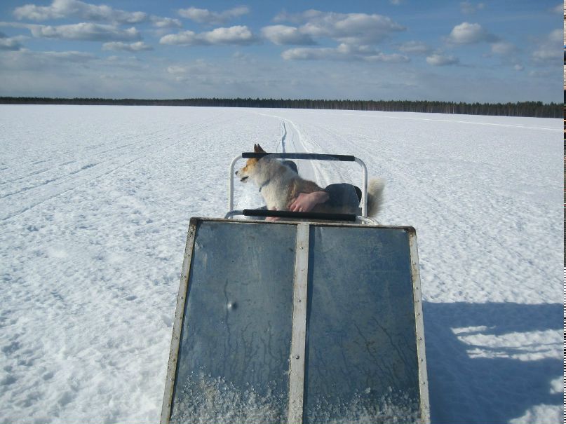 Миша Сищук Шмь)г@ | Сыктывкар