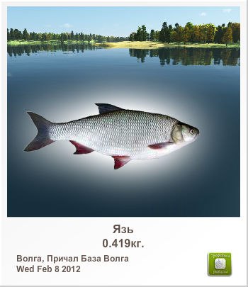 Миша Павлов | Запорожье