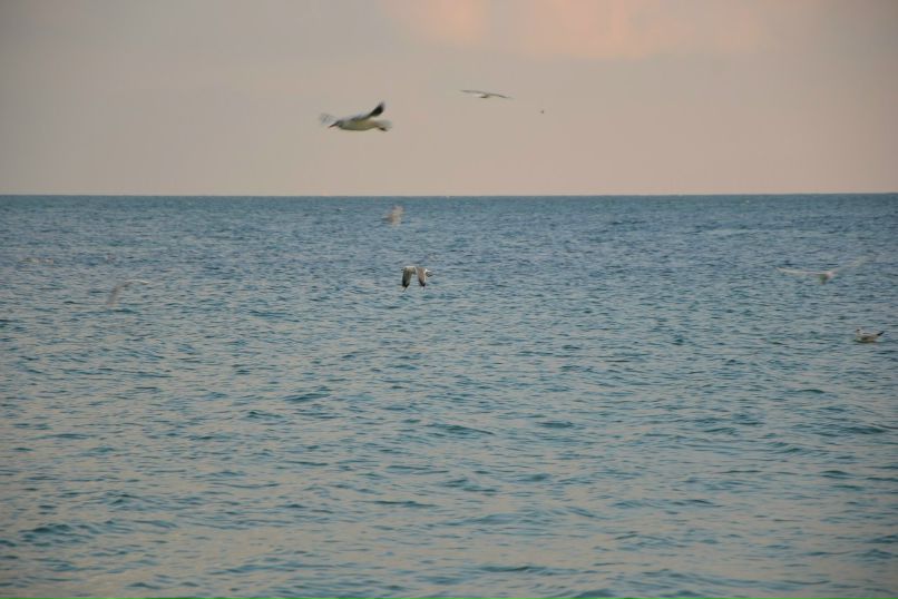 Мария Диденко | Одесса