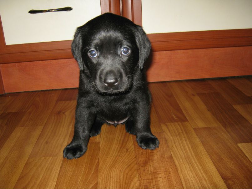 Саша Формина | Киев