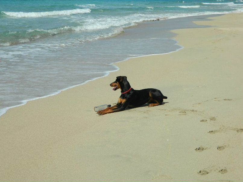 Manolis Vittorakis | Chania