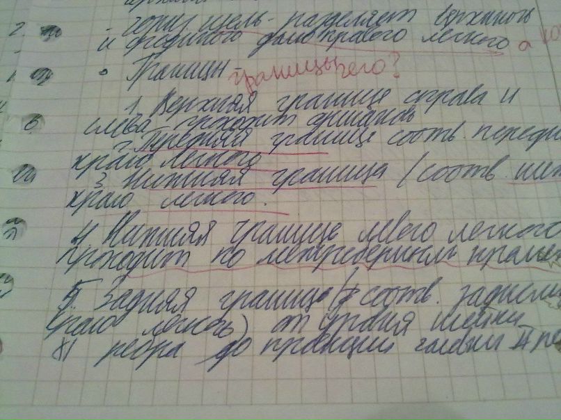 Марина Рысь Дмитриевна | 