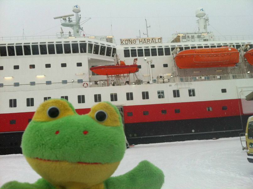 Лягушка Путешественник | 