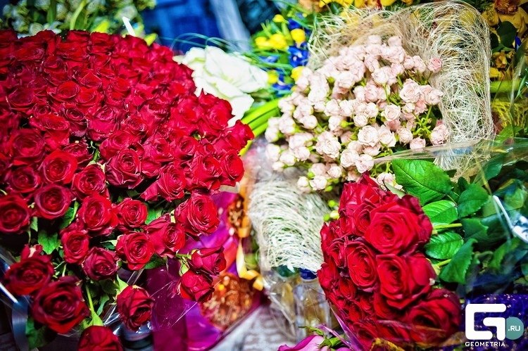 Елена Бурдинская | Санкт-Петербург