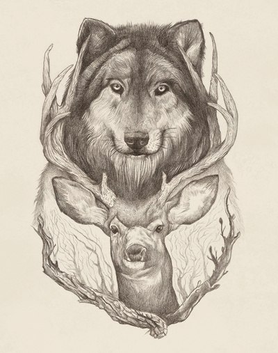 Юлия Палвин | Краснодар