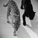 №15 Анастасия Тякина 15.05.1995: профиль, фото, статус - ВКонтакте