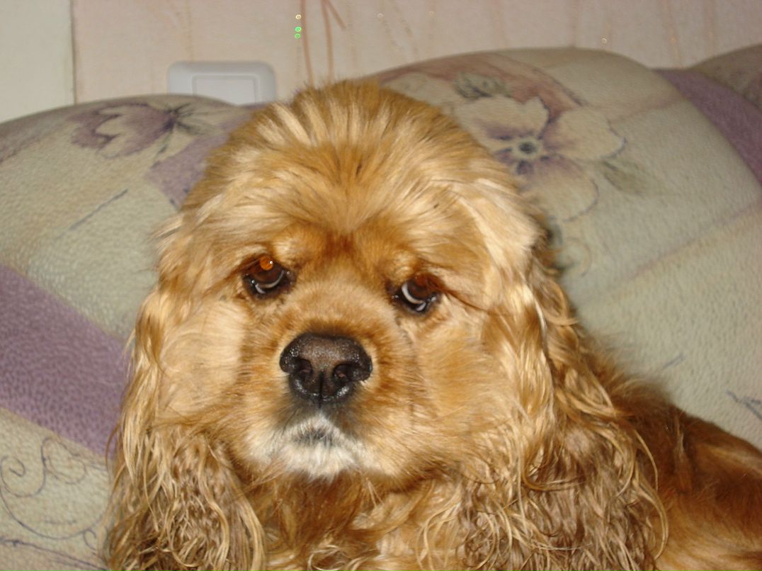 Евгений Колмогоров | Пермь