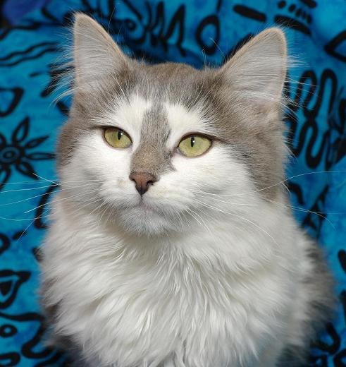 Анастасия Несвижская | Москва